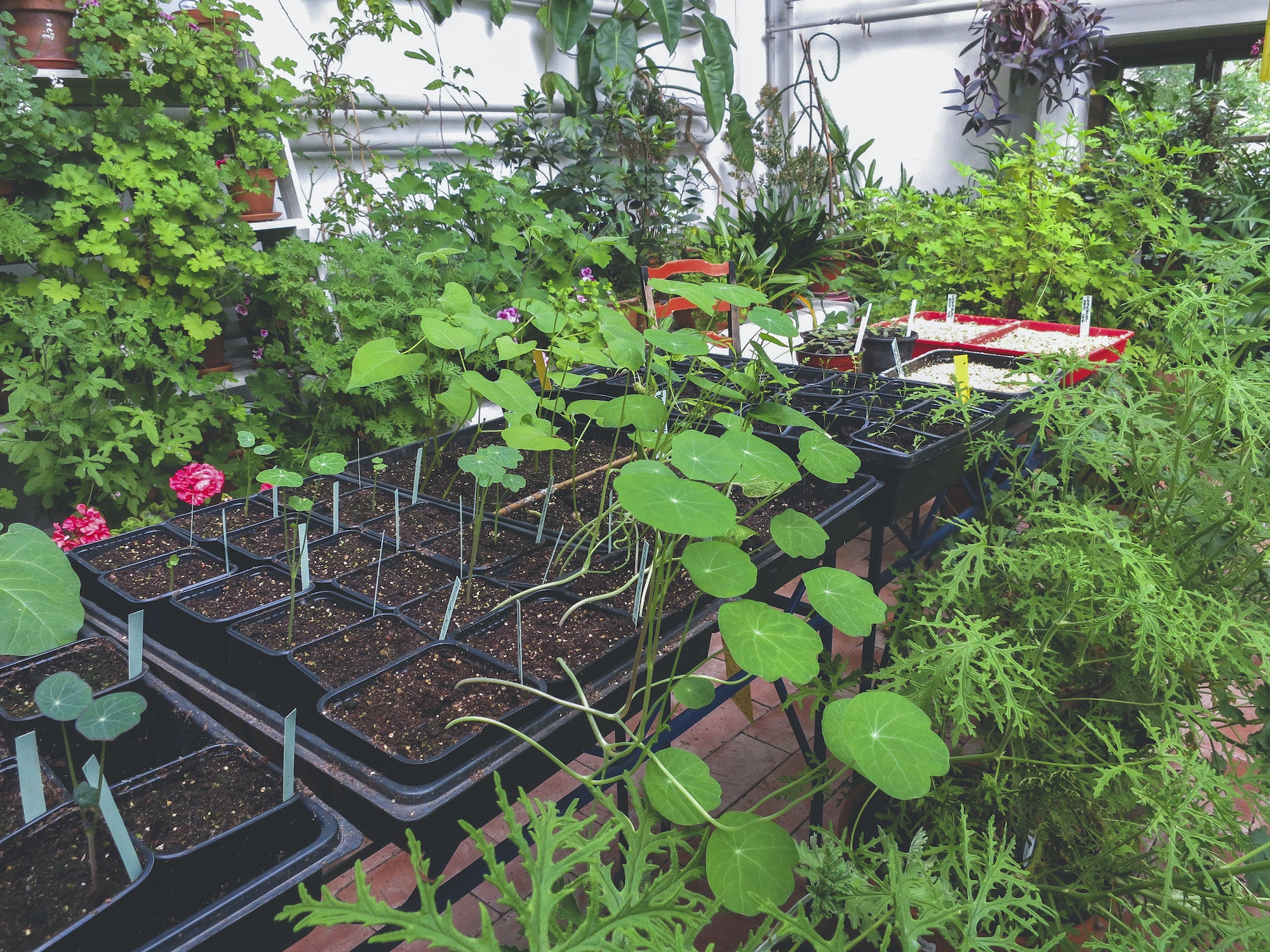 Potager - écologie - soutien - permaculture - Pipriac - ille et vilaine