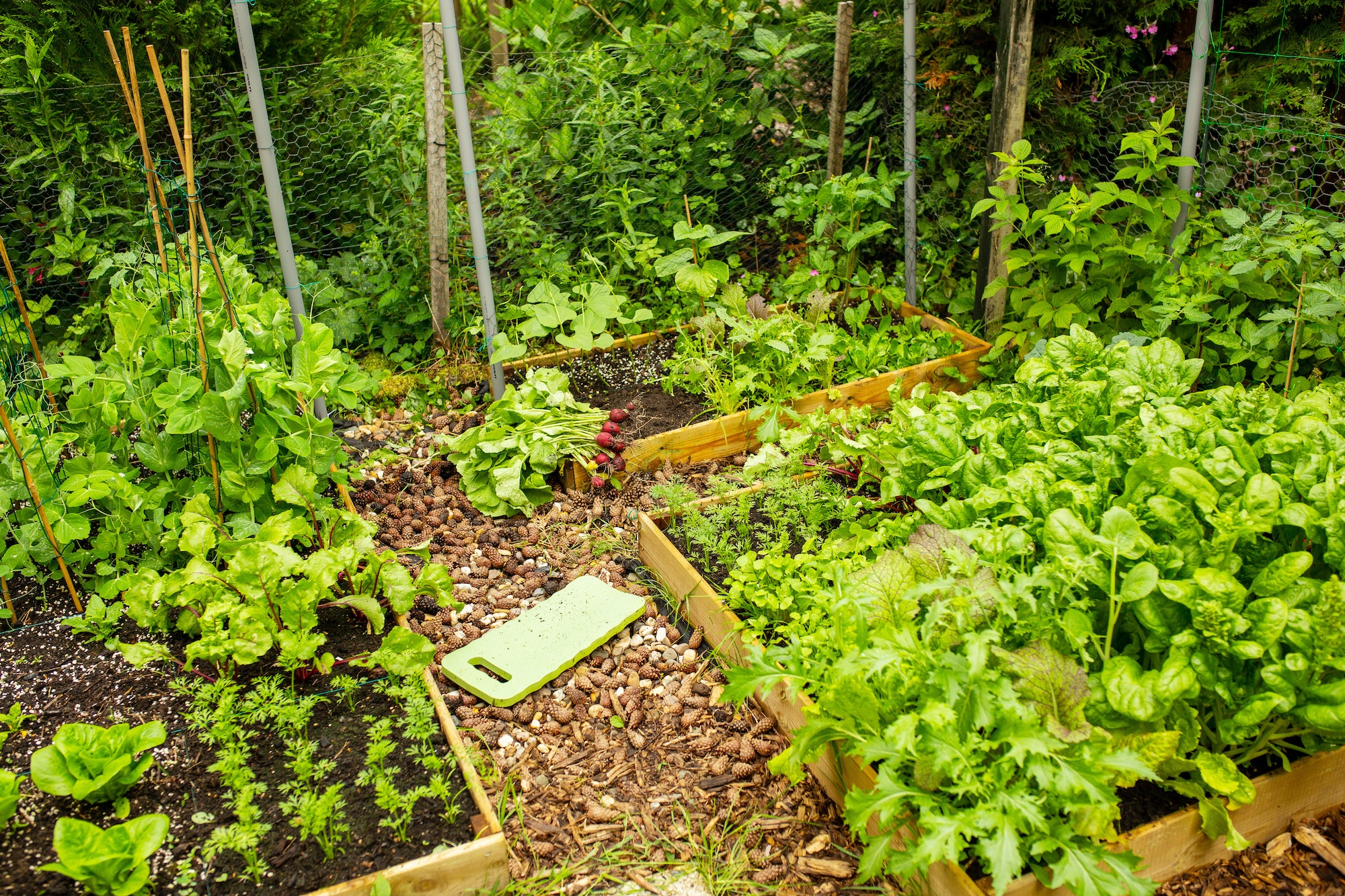 Potager - écologie - soutien - permaculture - Pipriac - ille et vilaine