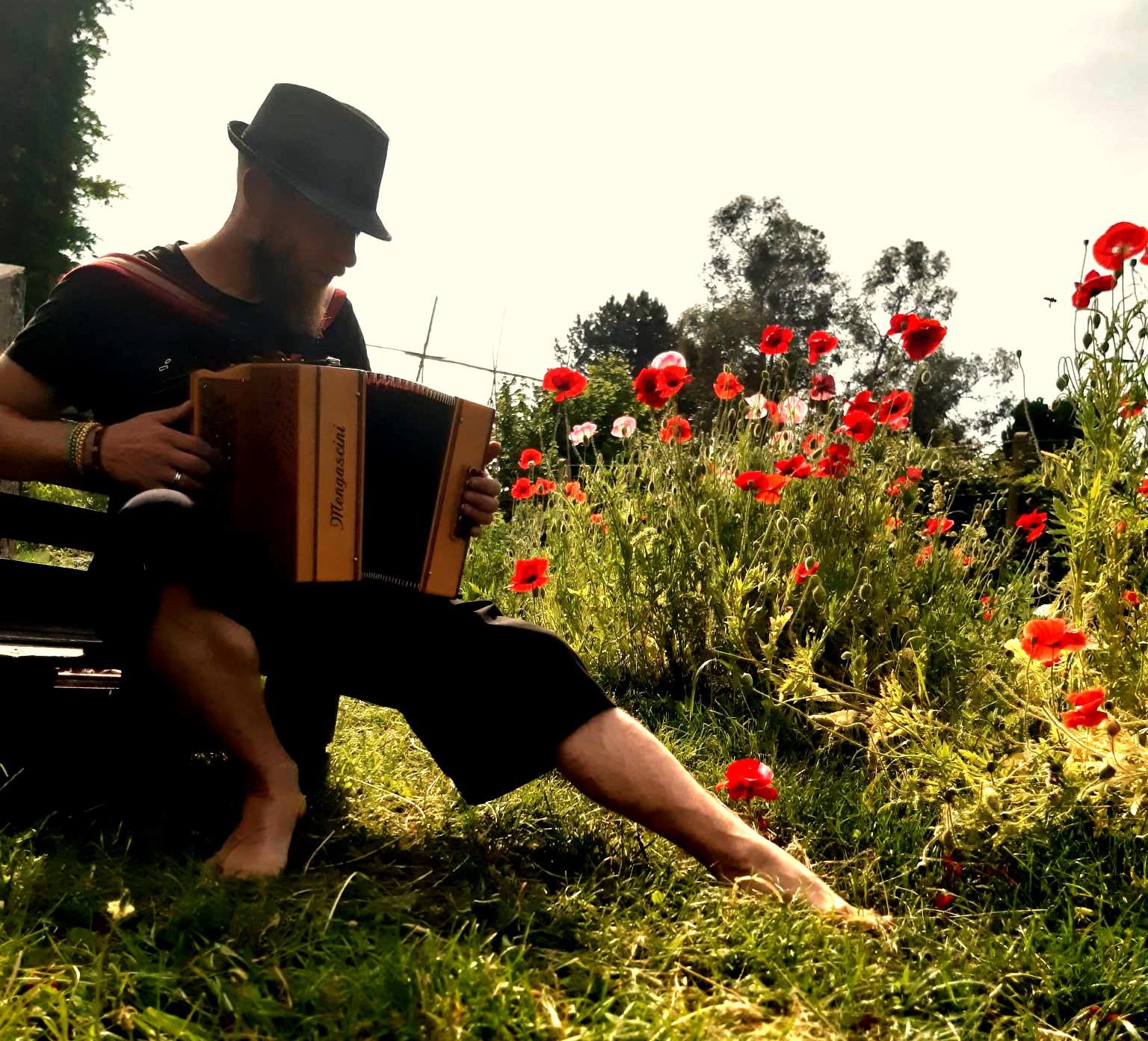 Cours - accordéon diatonique - Bruno Mazzolini - Pipriac - Ille et Vilaine